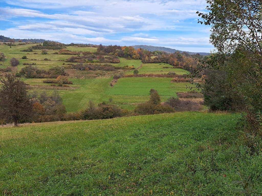 Działka rolna na sprzedaż Posada Jaśliska  9 900m2 Foto 11