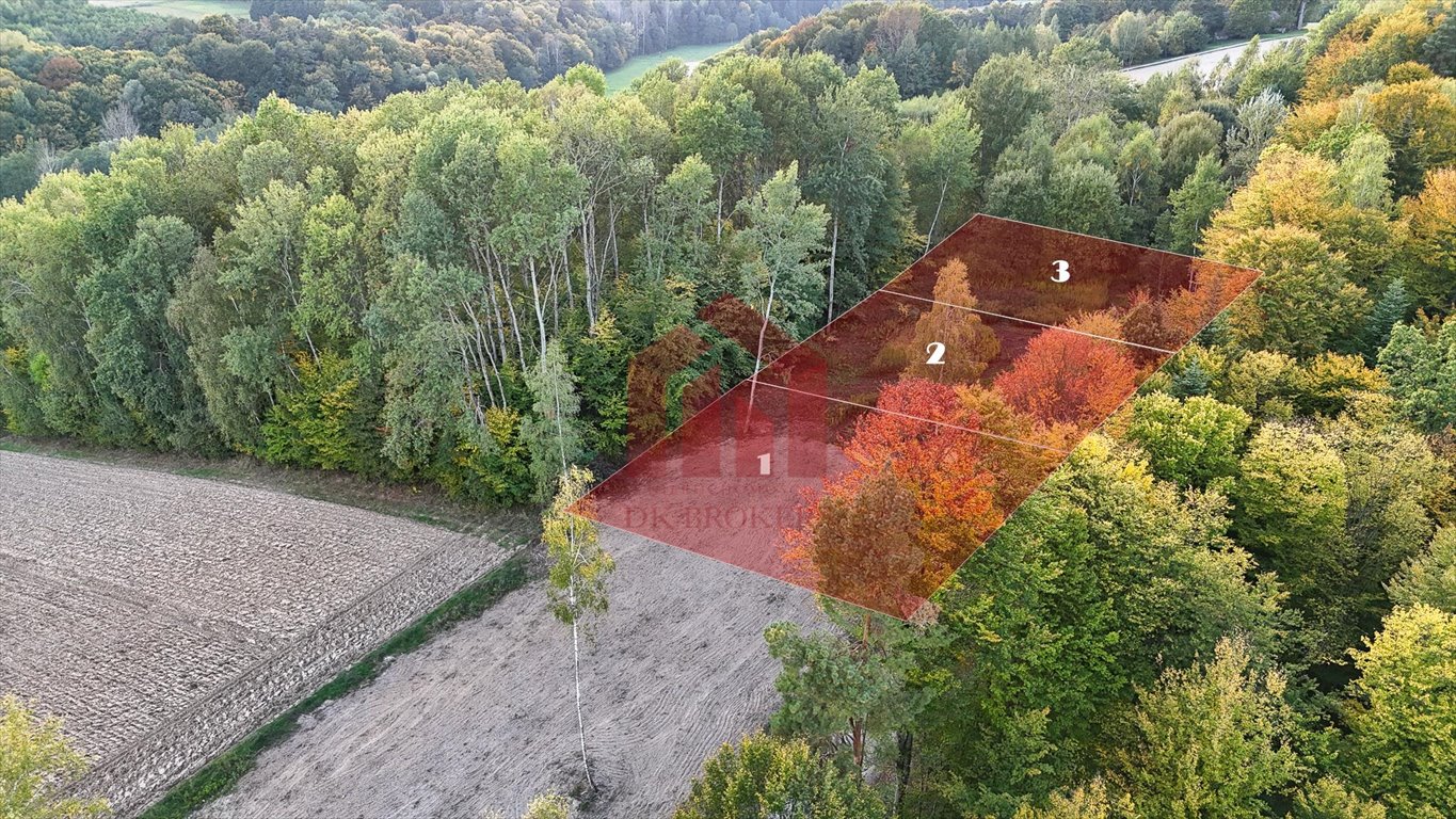 Działka 613 m² w Zagórzu (widok na Pogórze) Zagórze  613m2 Foto 1