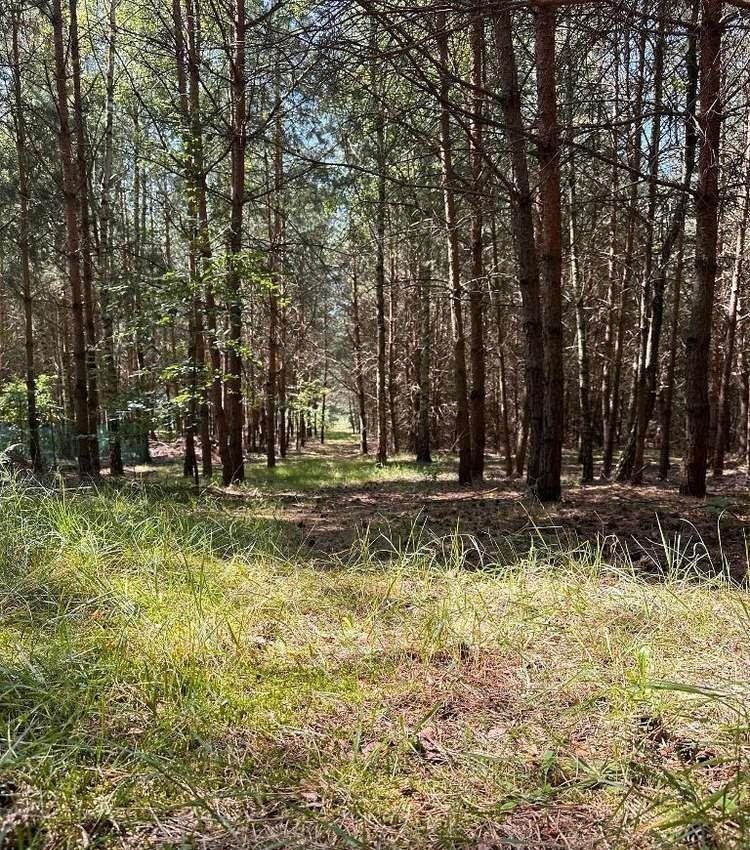 Działka budowlana na sprzedaż Rozbitek  7 712m2 Foto 10