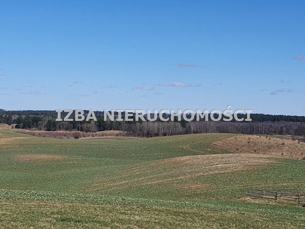 Działka budowlana na sprzedaż Szarek  1 101m2 Foto 6