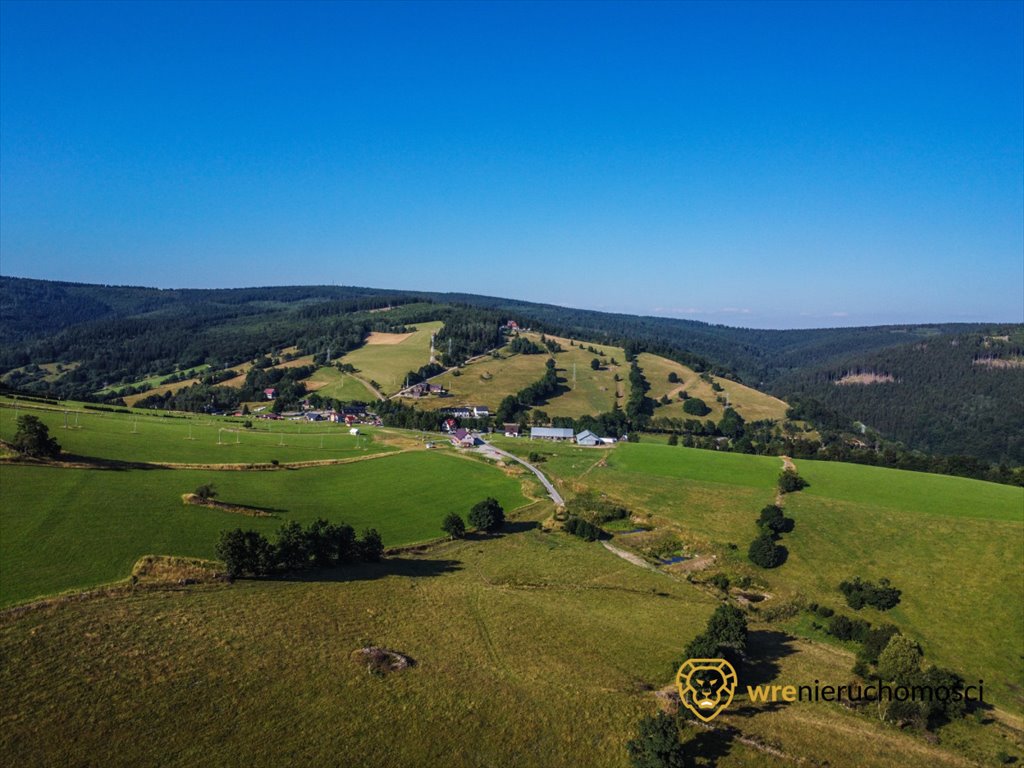 Działka inwestycyjna na sprzedaż Sokolec  3 540m2 Foto 5