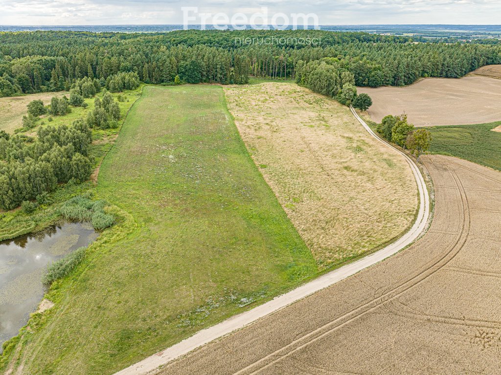 Działka rolna na sprzedaż Kwietniewo  22 800m2 Foto 5