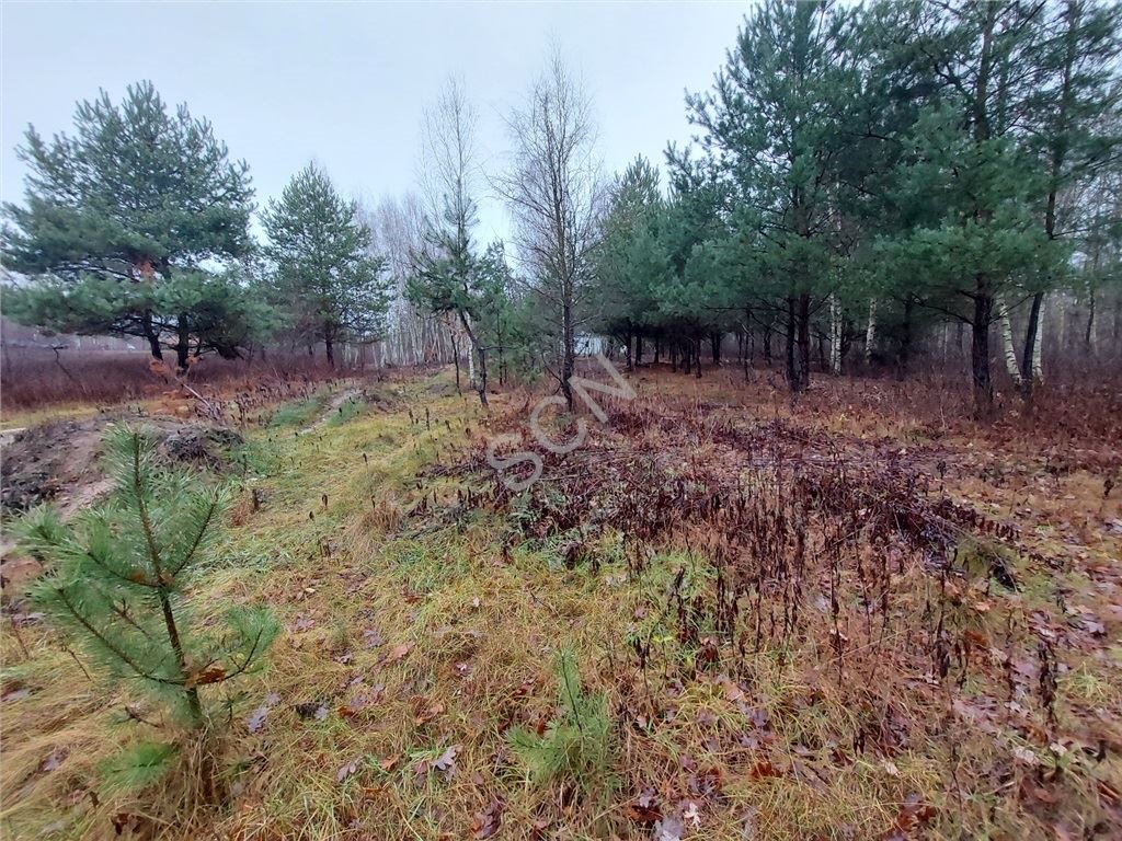 Działka budowlana na sprzedaż Lipowo  1 500m2 Foto 6