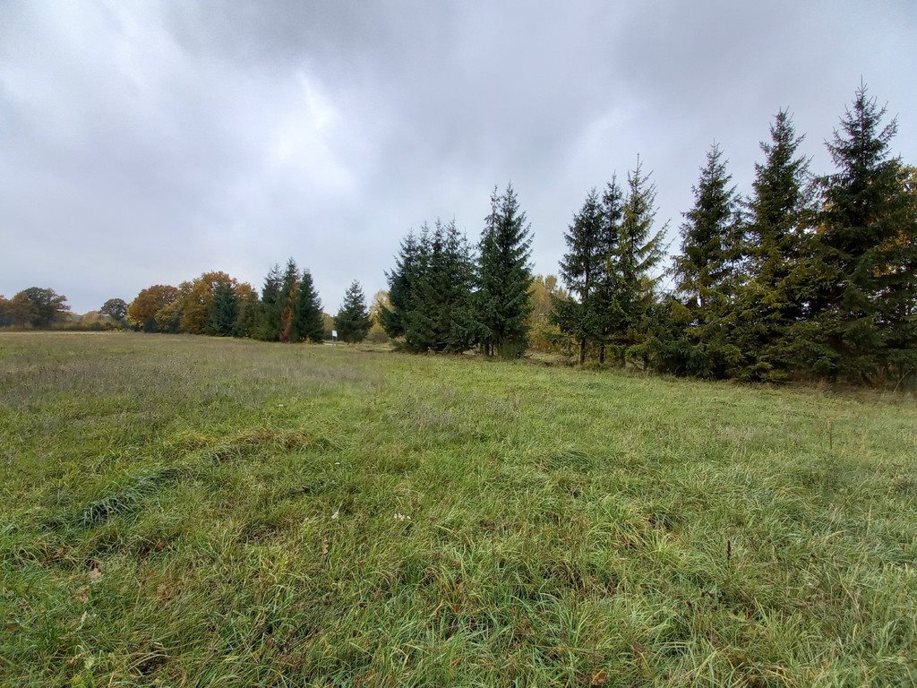 Działka inwestycyjna na sprzedaż Sarbsk  254 000m2 Foto 4