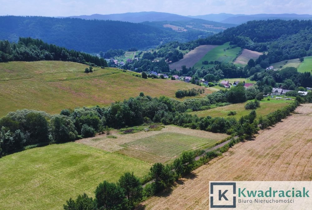 Działka budowlana na sprzedaż Rybne  2 572m2 Foto 3