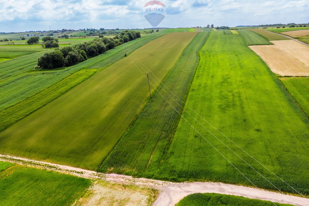 Działka inna na sprzedaż Skała  8 350m2 Foto 8