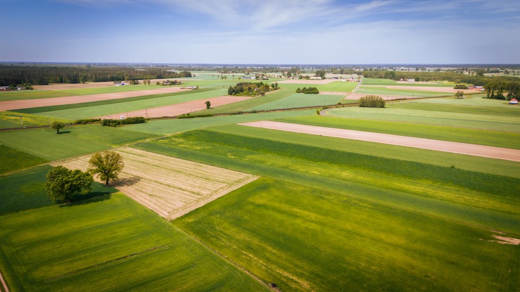 Działka inna na sprzedaż Uniejów  2 700m2 Foto 8