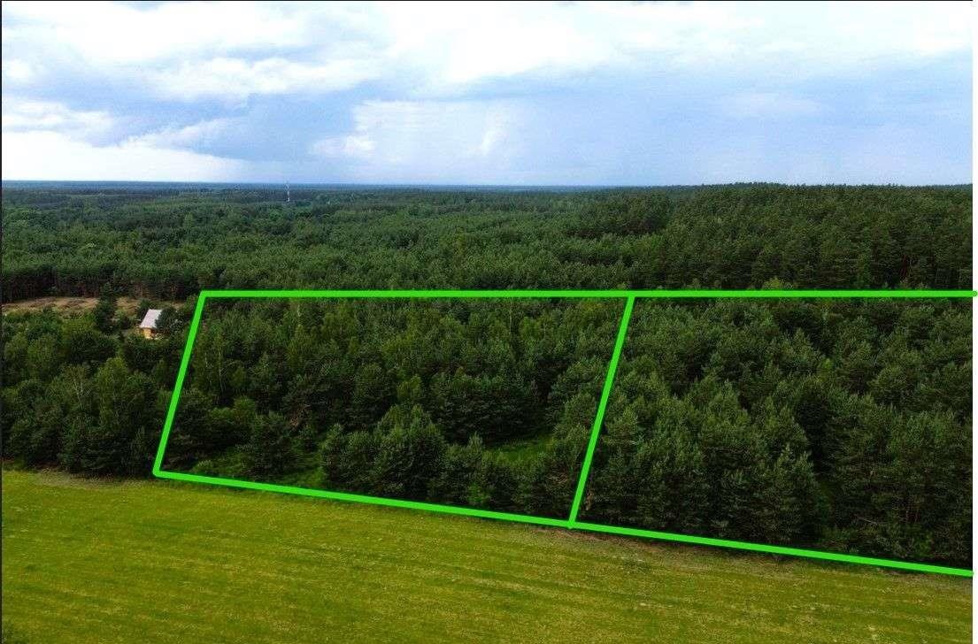 Działka rolna na sprzedaż Faryny  11 000m2 Foto 6