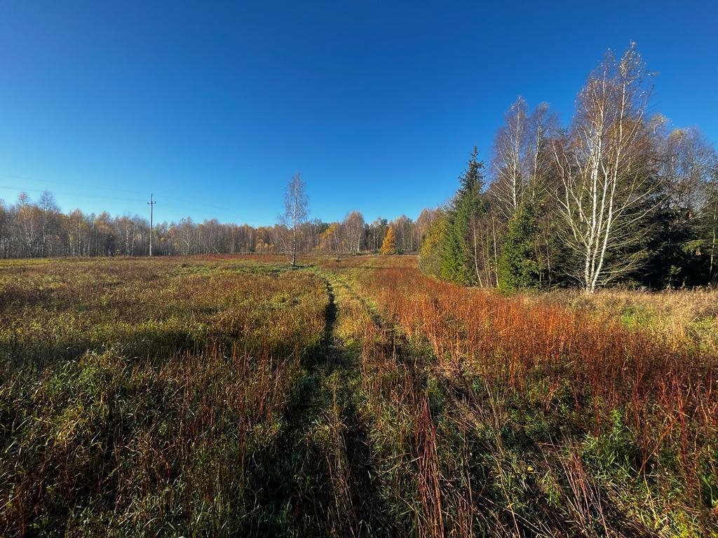 Działka siedliskowa na sprzedaż Zadry  70 600m2 Foto 6