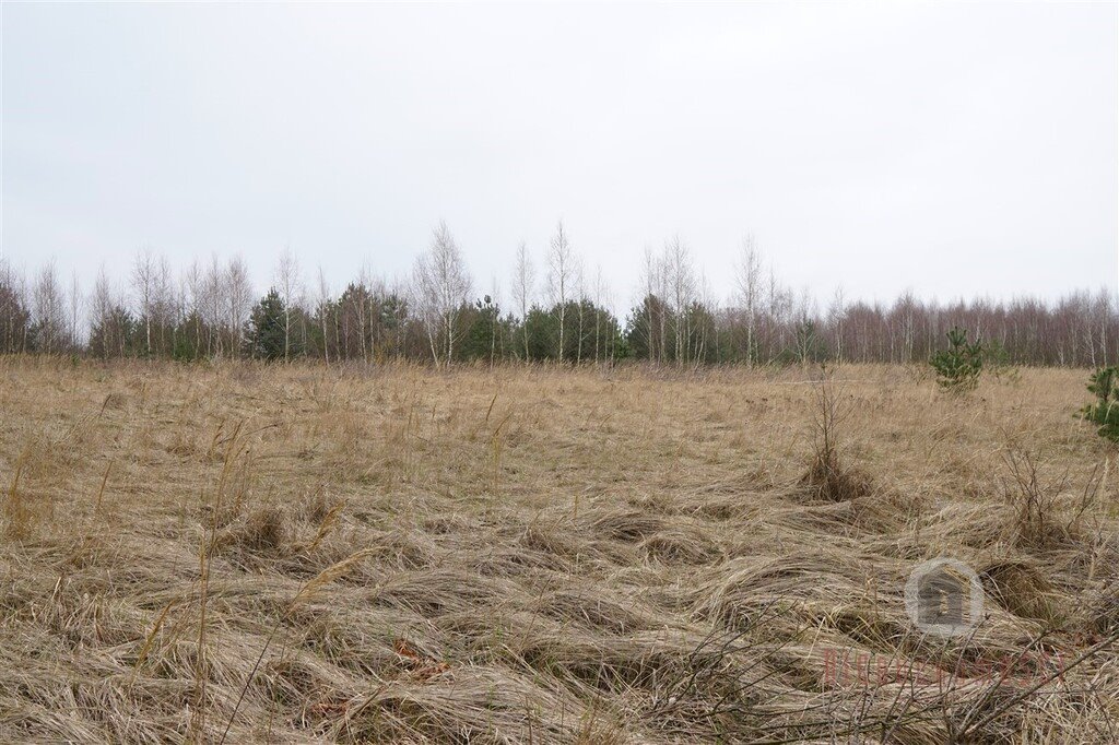 Działka budowlana na sprzedaż Bledzew  1 000m2 Foto 1