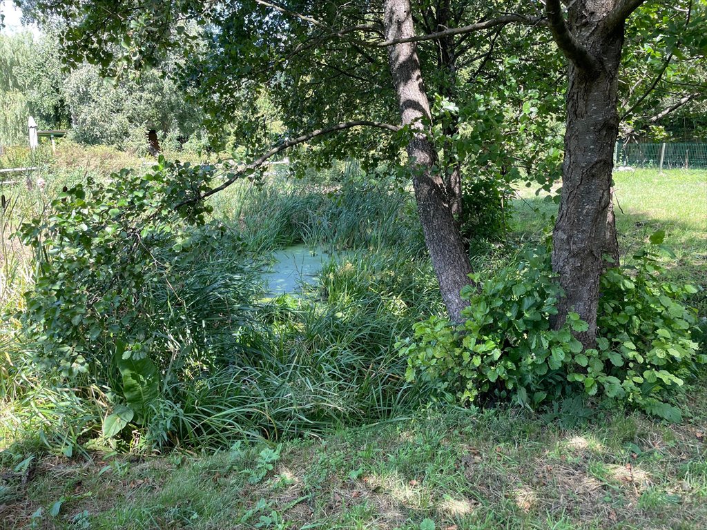 Działka rekreacyjna na sprzedaż Stare Kiejkuty  817m2 Foto 9