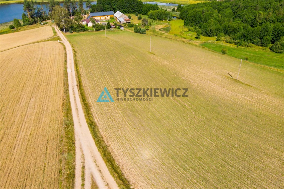 Działka rolna na sprzedaż Łubiana  3 567m2 Foto 3