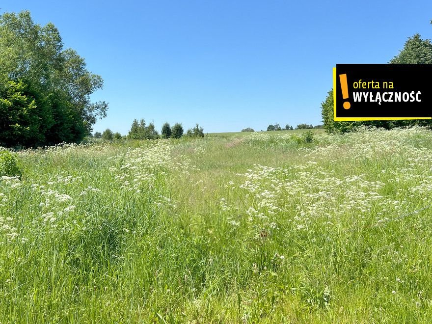 Działka budowlana na sprzedaż Rembów  4 990m2 Foto 1