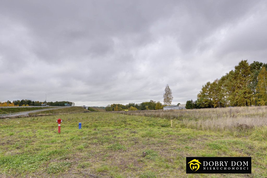 Zapraszam do obejrzenia działki 10 017 m² pod działalność w Bielsku Bielsk Podlaski  10 055m2 Foto 1
