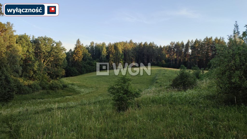 Działka budowlana na sprzedaż Oracze  1 500m2 Foto 20