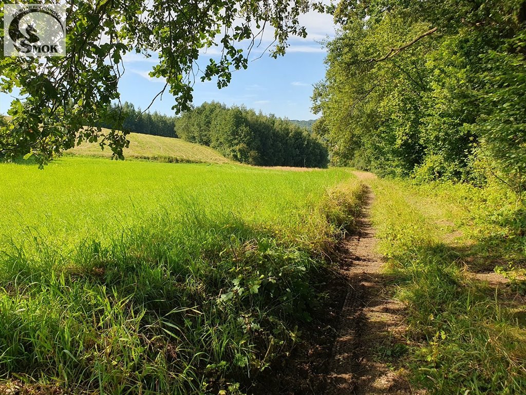 Działka rolna 3,35 ha w spokojnej okolicy Raciborsko Raciborsko  33 500m2 Foto 1