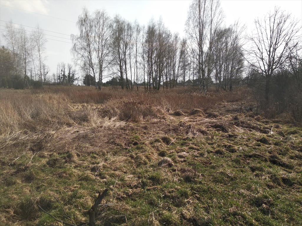 Do sprzedania działka 5800 m² pod zabudowę i działalność Mrozów, Działka mieszkaniowo - usługowa  5 800m2 Foto 1