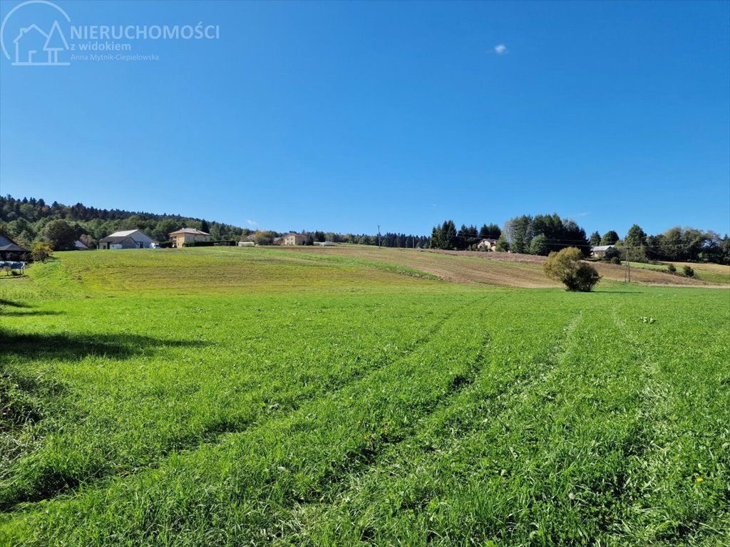 Działka rolna na sprzedaż Strzeszyn  3 900m2 Foto 6