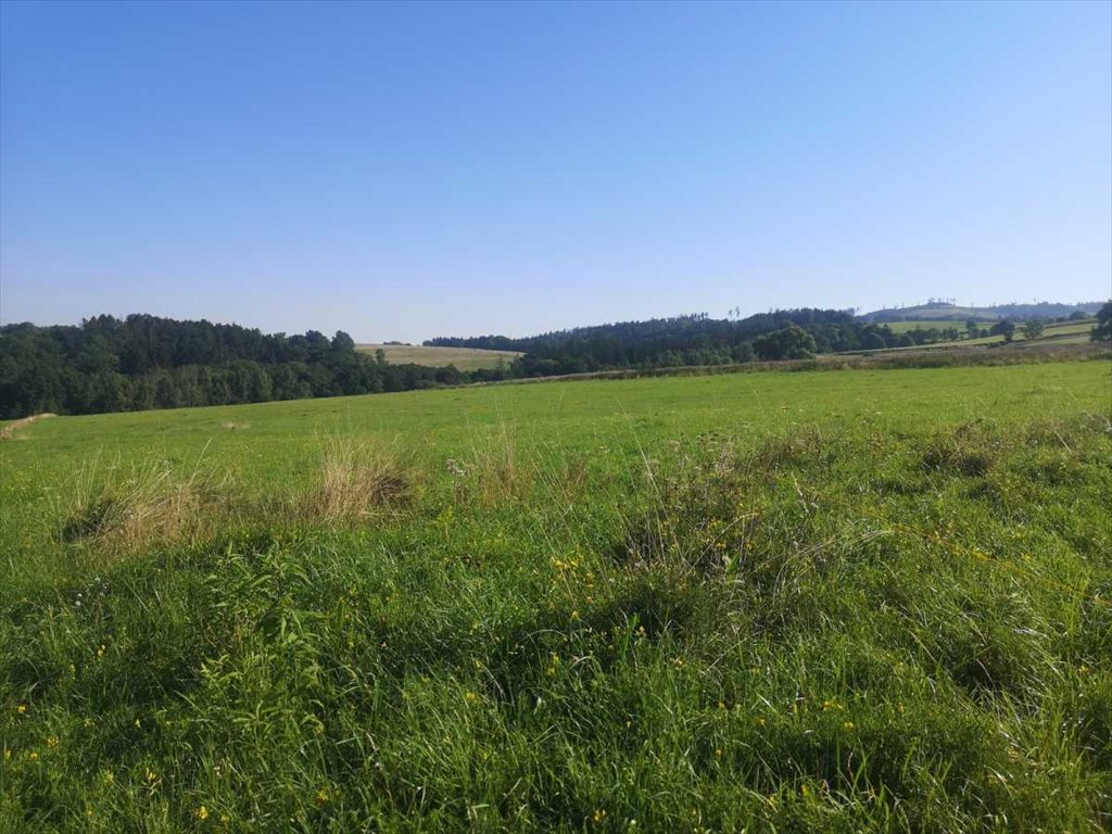 Działka inna na sprzedaż Kłodzko  1 000m2 Foto 2