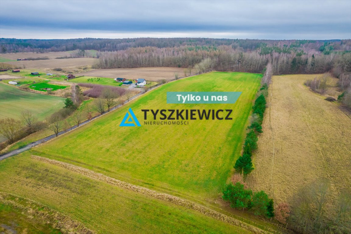 Działka rolna 2,84 ha z lasem, media, Głodowo Głodowo  28 400m2 Foto 1