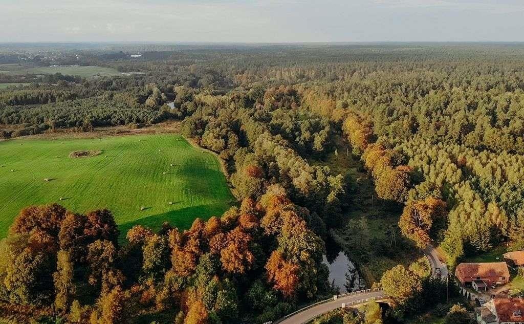 Działka inna na sprzedaż Miłomłyn  4 065m2 Foto 14