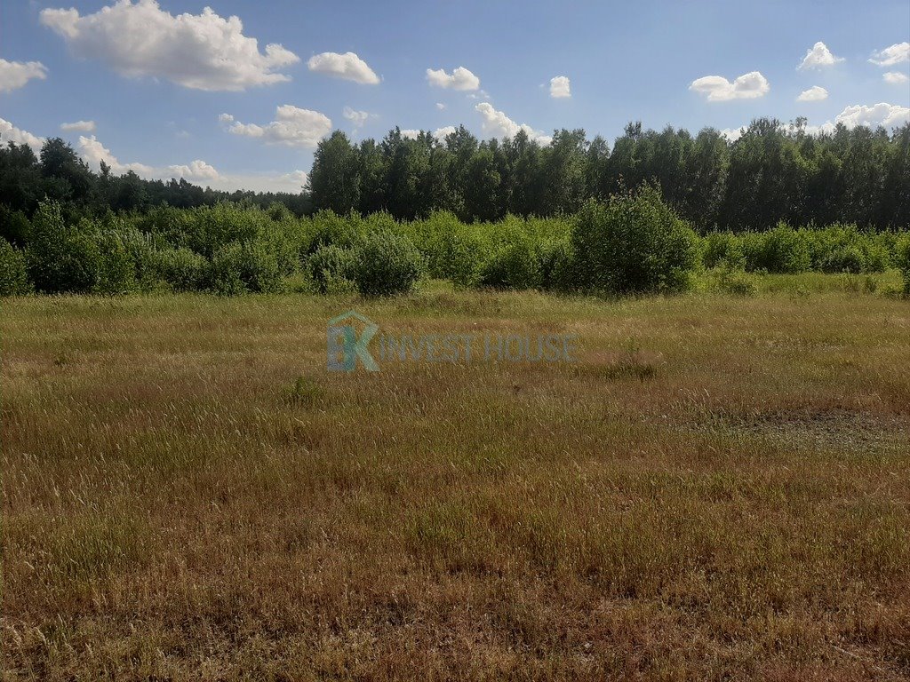 Działka rolna na sprzedaż Sadek  30 000m2 Foto 2