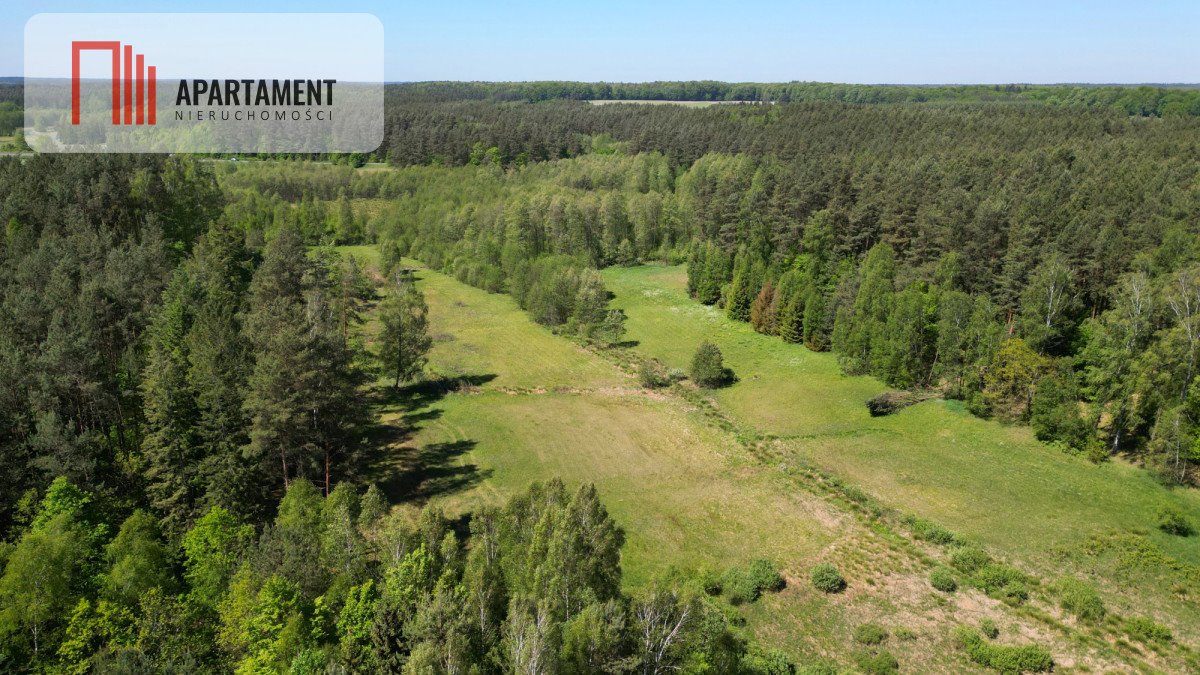 Działka budowlana na sprzedaż Borzechowo  46 200m2 Foto 3