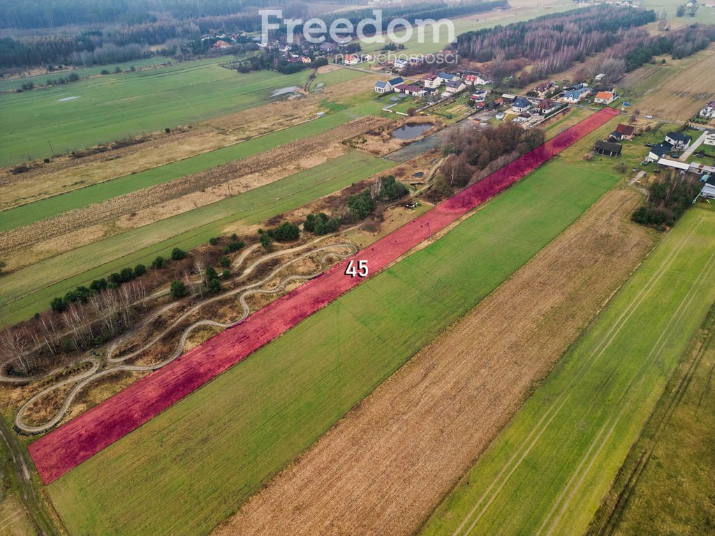 Działka budowlana na sprzedaż Miedźno  6 090m2 Foto 6