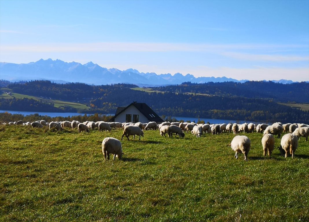 Dom na sprzedaż Czorsztyn, Pienińska 61  475m2 Foto 13