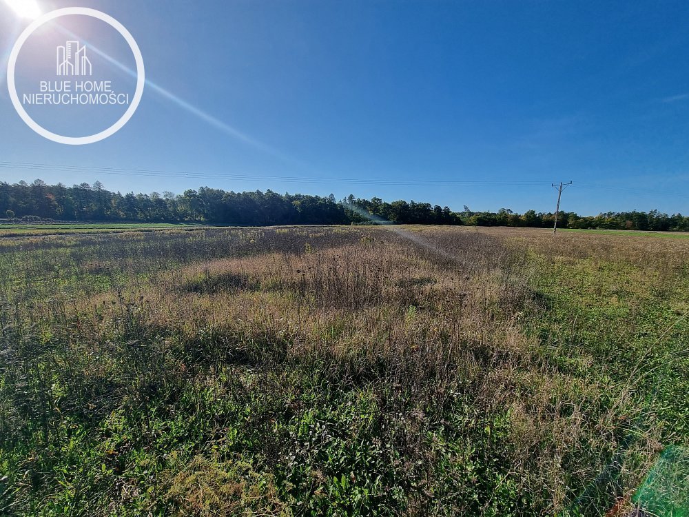 Działka rolna na sprzedaż Zalesie Krasieńskie  31 300m2 Foto 3