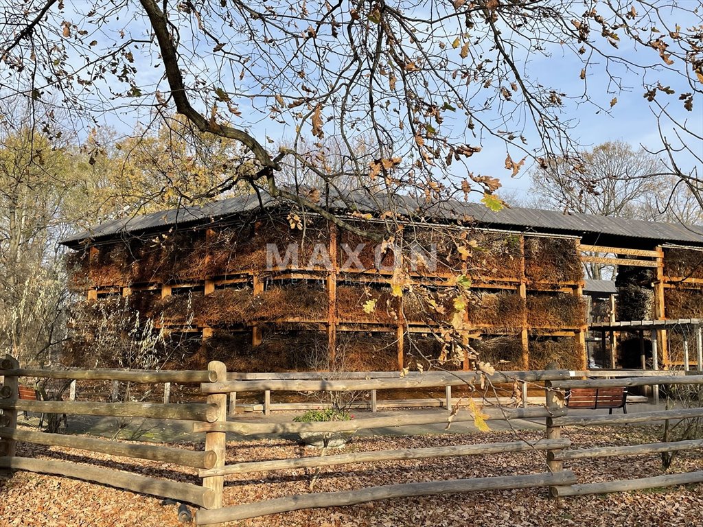 Działka budowlana na sprzedaż Konstancin-Jeziorna  3 300m2 Foto 6