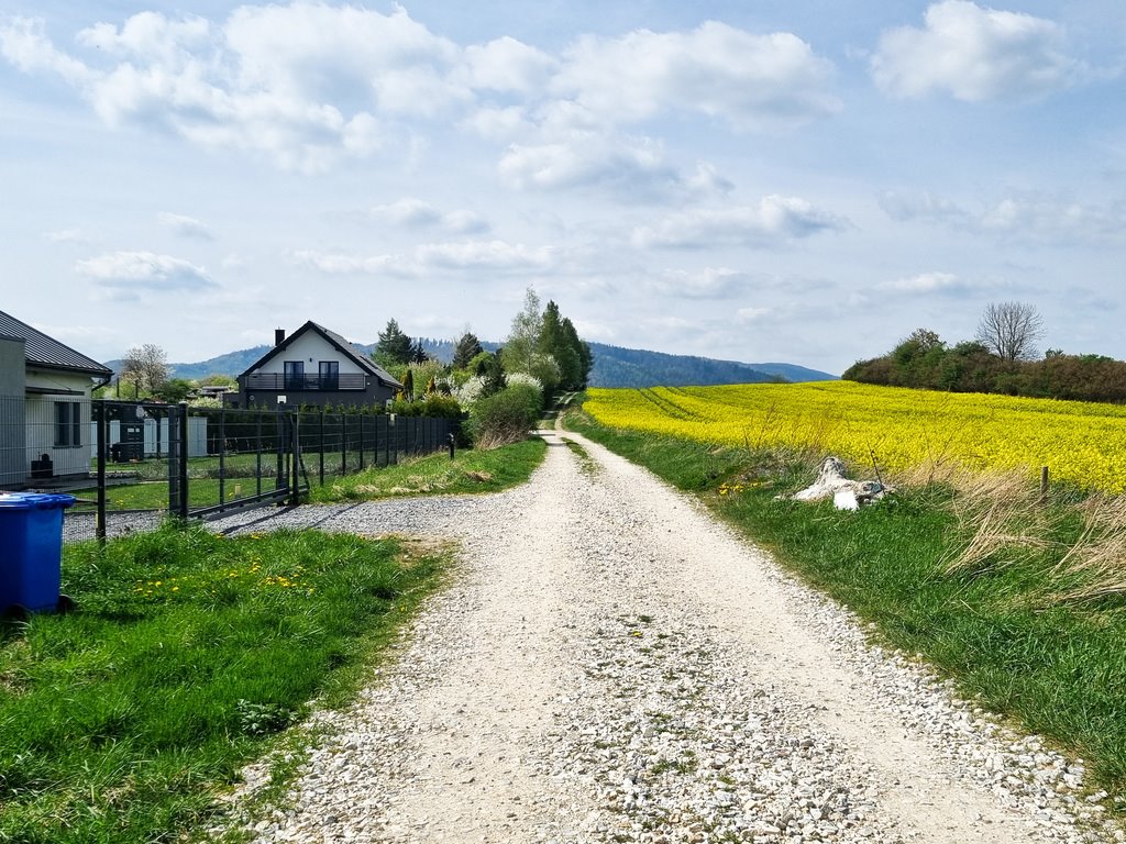 Działka inna na sprzedaż Bystrzyca Kłodzka  1 625m2 Foto 14