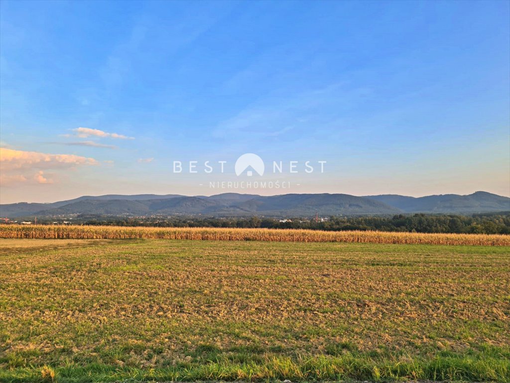 Działka budowlana na sprzedaż Jasienica  10 340m2 Foto 3