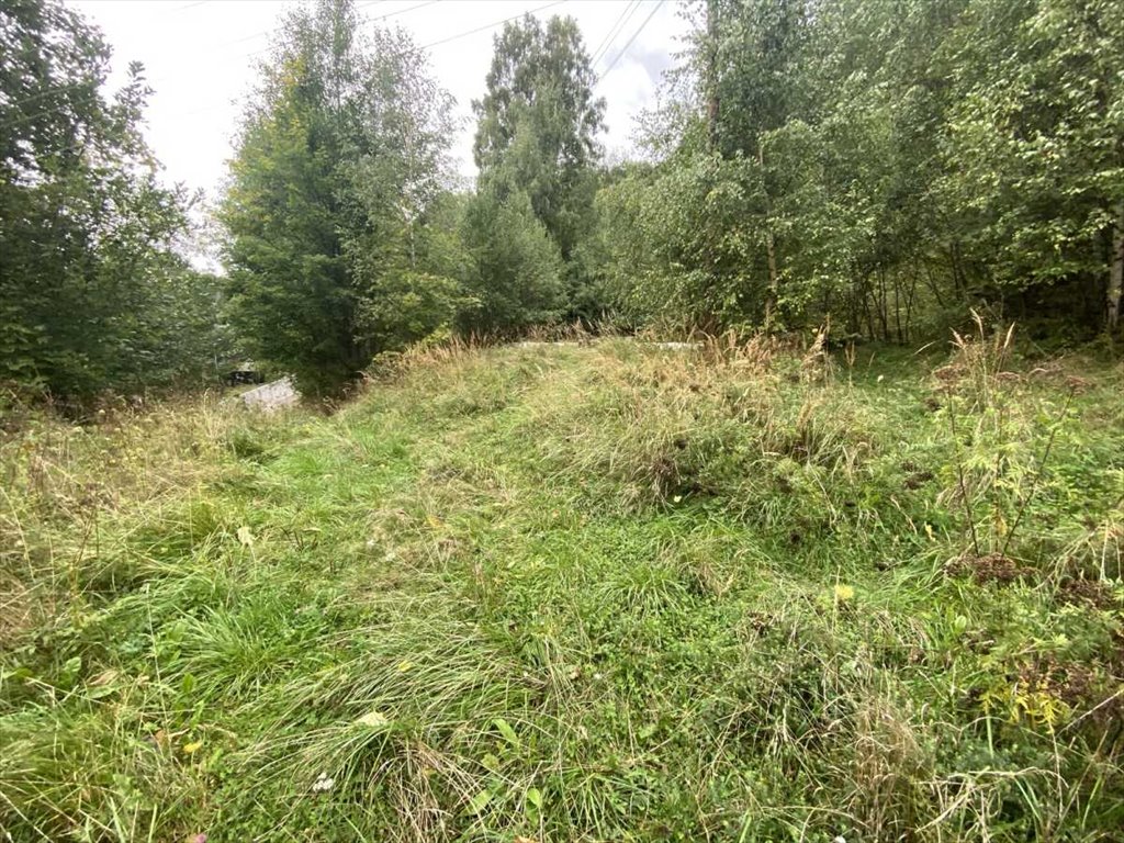 Działka inna na sprzedaż Stoszowice, Srebrna Góra  5 850m2 Foto 2