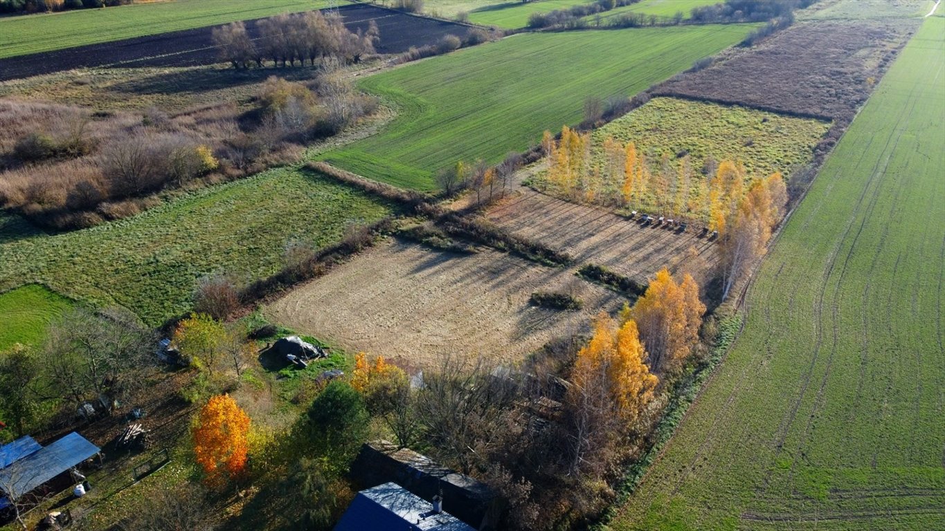 Działka budowlana na sprzedaż Kampinos A  1 232m2 Foto 6