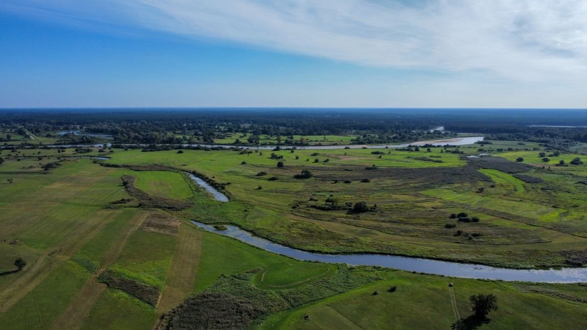 Działka budowlana na sprzedaż Stare Budy  1 017m2 Foto 8