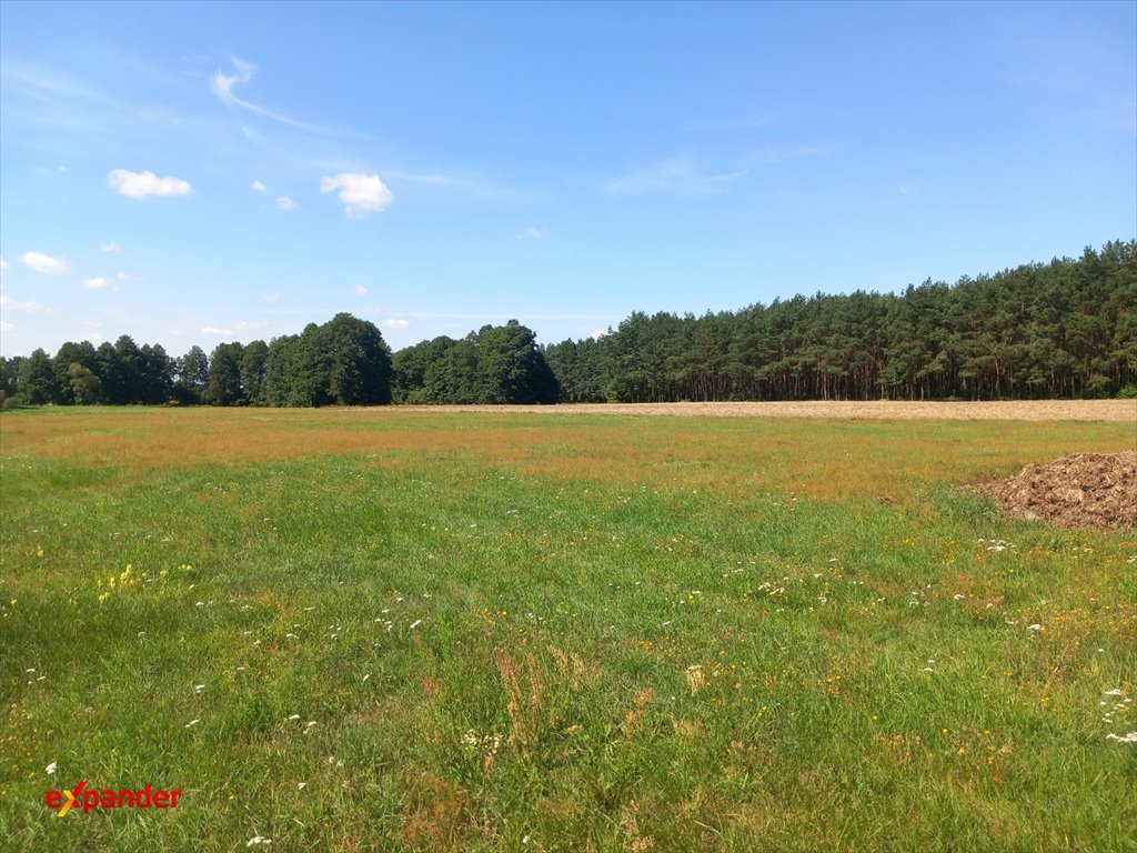 Działka 0,4 ha w Józefowie pod inwestycję, negocjacja ceny Józefowo  4 000m2 Foto 1