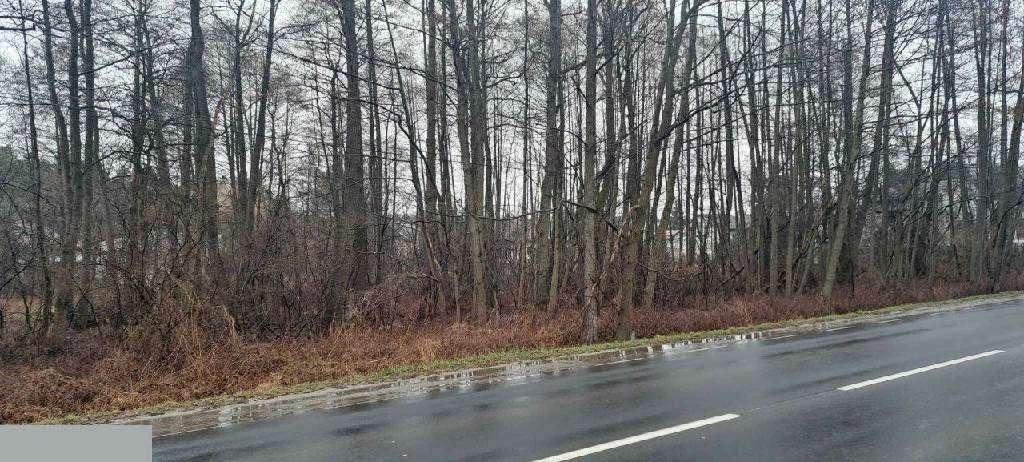 Działka budowlana na sprzedaż Góra Kalwaria, Grójecka  2 500m2 Foto 3