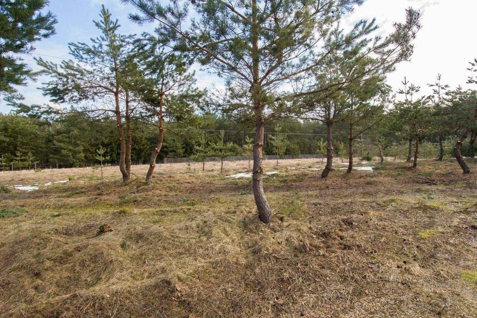 Działka budowlana na sprzedaż Tarnopol, Kruhlik  3 500m2 Foto 1