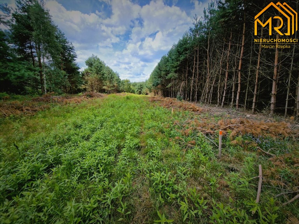 Działka inna na sprzedaż Żdżary  1 200m2 Foto 18