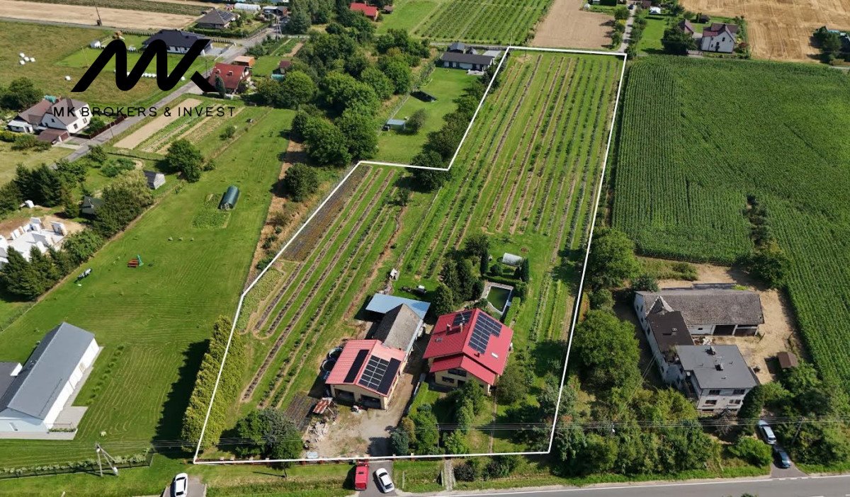 Sprzedam dom 200 m² z uprawą borówki w Kaczycach Kaczyce, Marii Konopnickiej  200m2 Foto 1