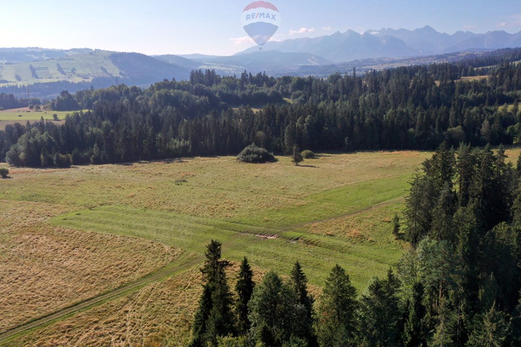 Działka rolna na sprzedaż Białka Tatrzańska  4 151m2 Foto 8