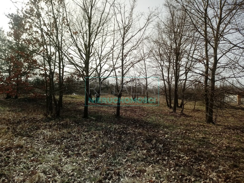 Działka budowlana z lasem i rzeczką, cisza i spokój Żyrardów  3 260m2 Foto 1