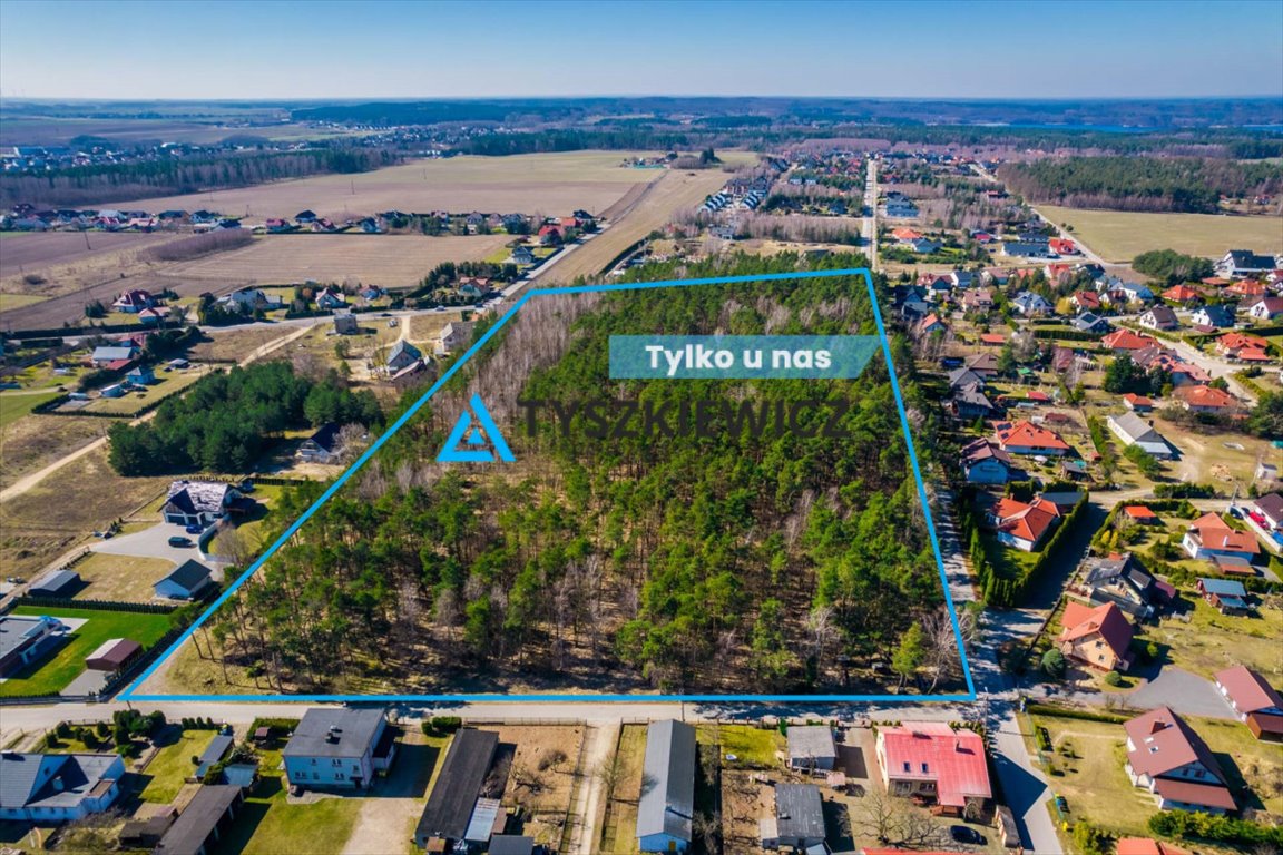 Duża działka leśna 51 000 m² z potencjałem inwestycyjnym Chojniczki  51 000m2 Foto 1