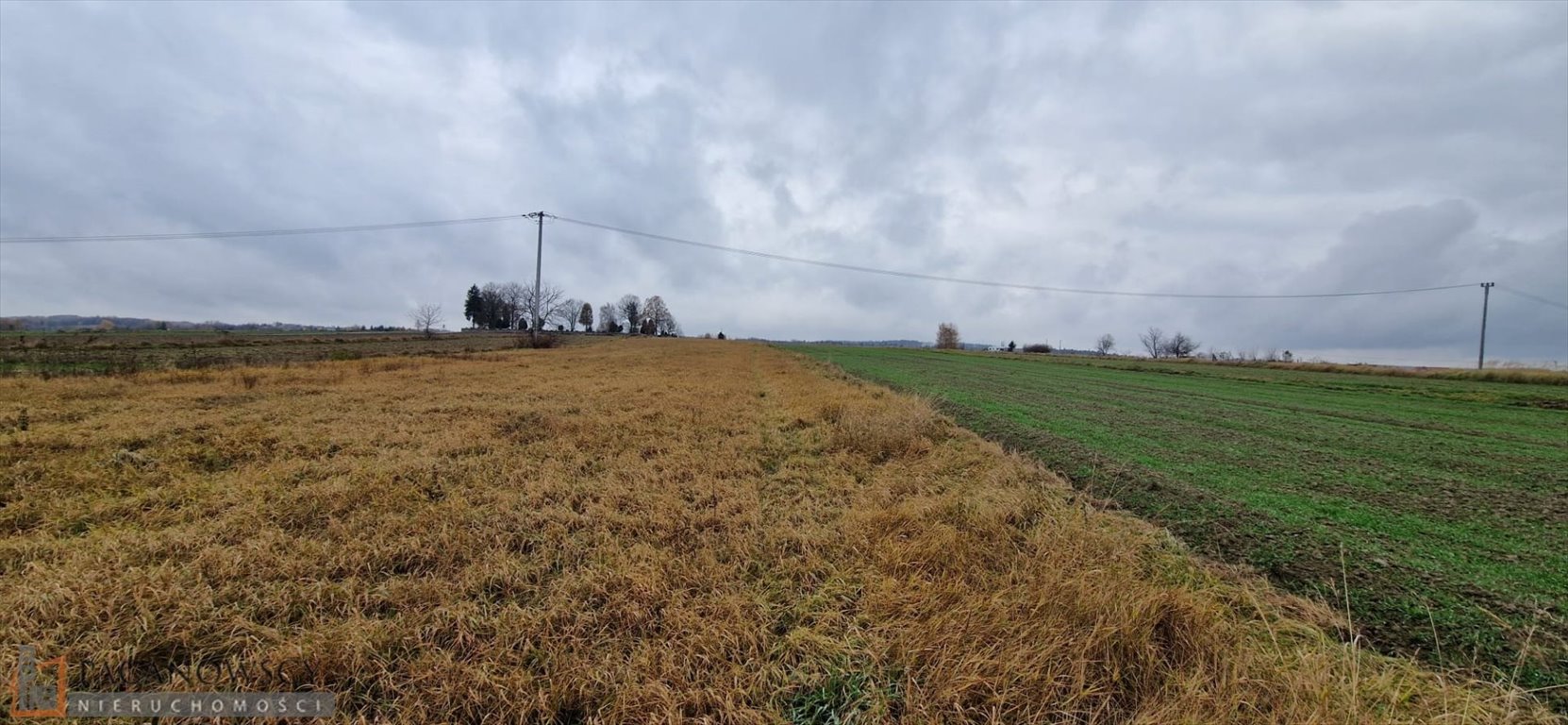 Działka budowlana na sprzedaż Biały Kościół  6 900m2 Foto 4