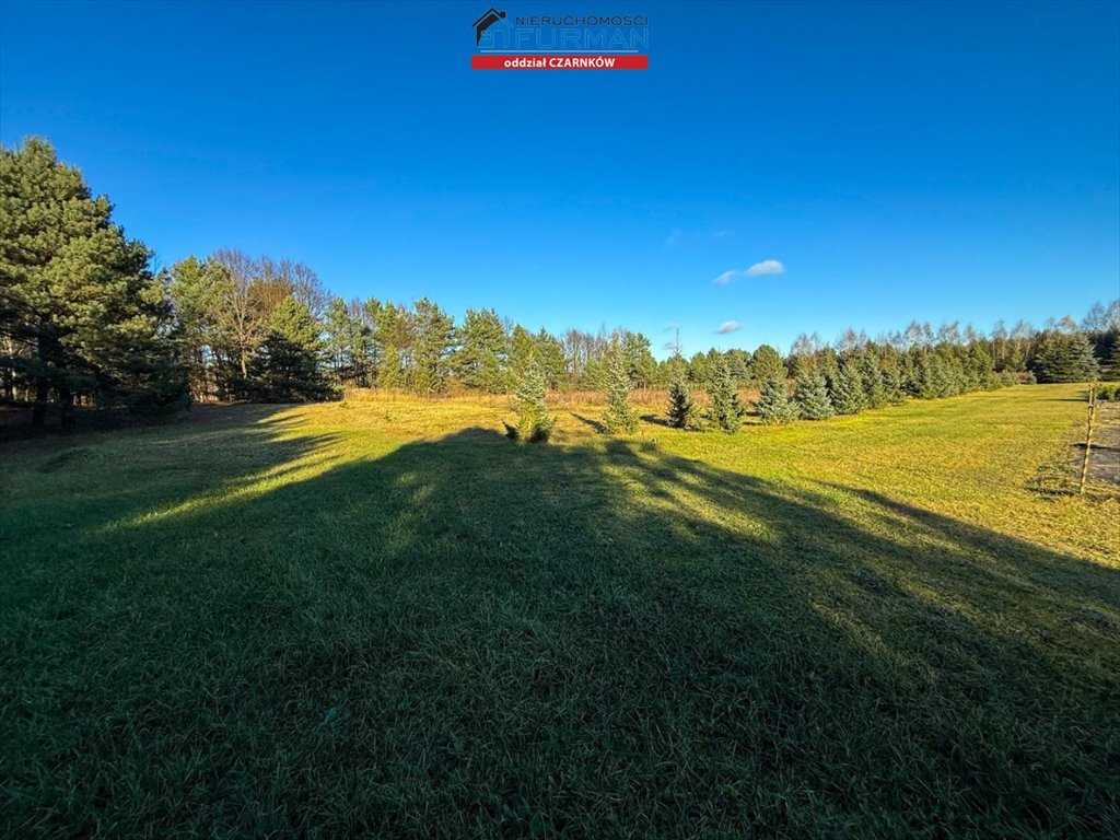 Duża działka pod dom w Rychliku, 5272 m², prywatność Rychlik  5 272m2 Foto 1