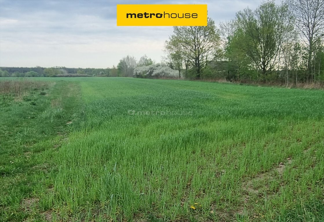 Działka 3000 m² z warunkami zabudowy i potencjałem inwestycyjnym Zakrzewo, Zakrzewo Kościelne  3 000m2 Foto 1