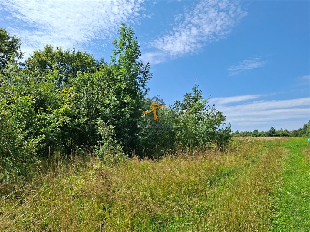 Zdjęcie 8