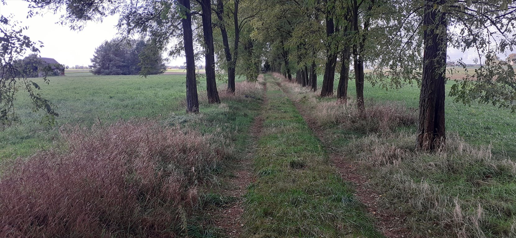 Dom na sprzedaż Strzelno, Strzelno  120m2 Foto 3