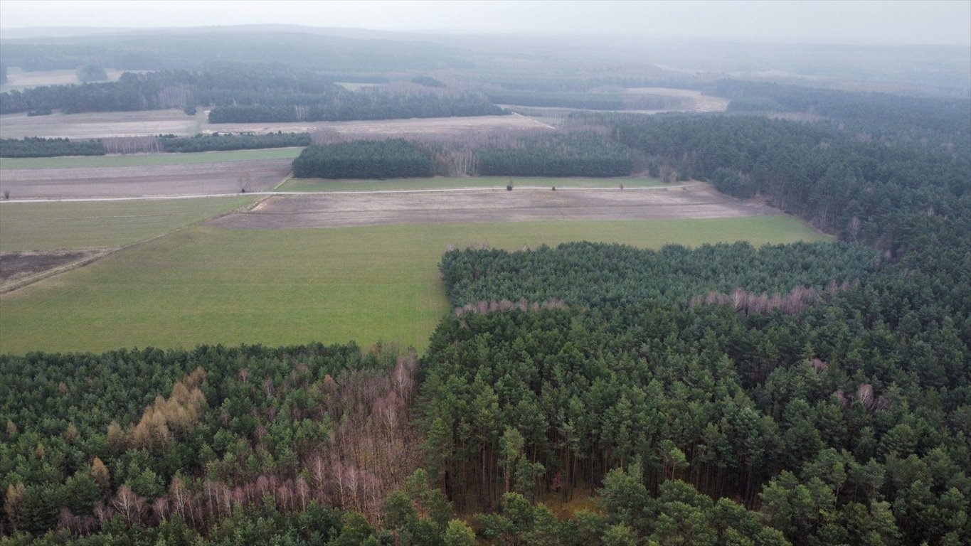 Działka z lasem 27 000 m² w Gorzakiewie – możliwość podziału Gorzakiew  27 000m2 Foto 1